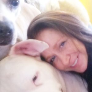 Meet your Posher, Ellen